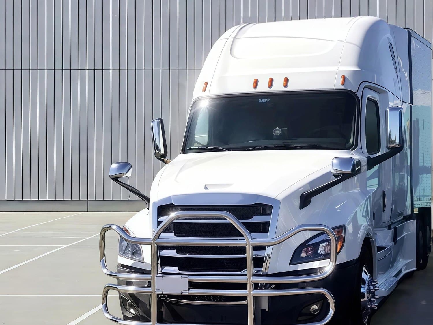 XRF-00012 twin-rail grille guard in polished stainless on a Freightliner Cascadia
